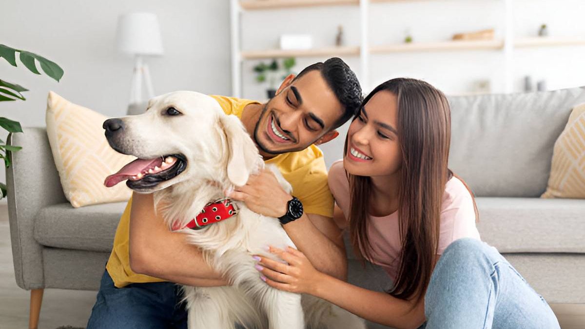 Caring for More Than Just Pets: Ensuring Every Move Is Safe and Comfortable