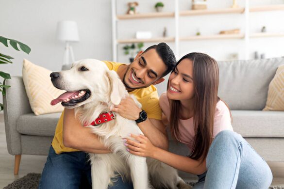 Caring for More Than Just Pets: Ensuring Every Move Is Safe and Comfortable